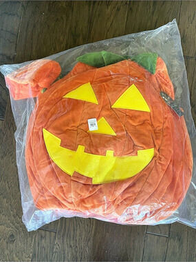 Pottery Barn Halloween Glow-in-the-Dark Pumpkin Costume Pumpkin Halloween